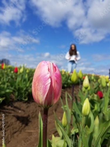 red tulip, walk park, don't look behind 