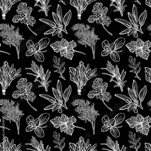 Italian and Provencal herbs seamless pattern. Mediterranean seasonings and herbs pattern. Hand-drawn vector illustration