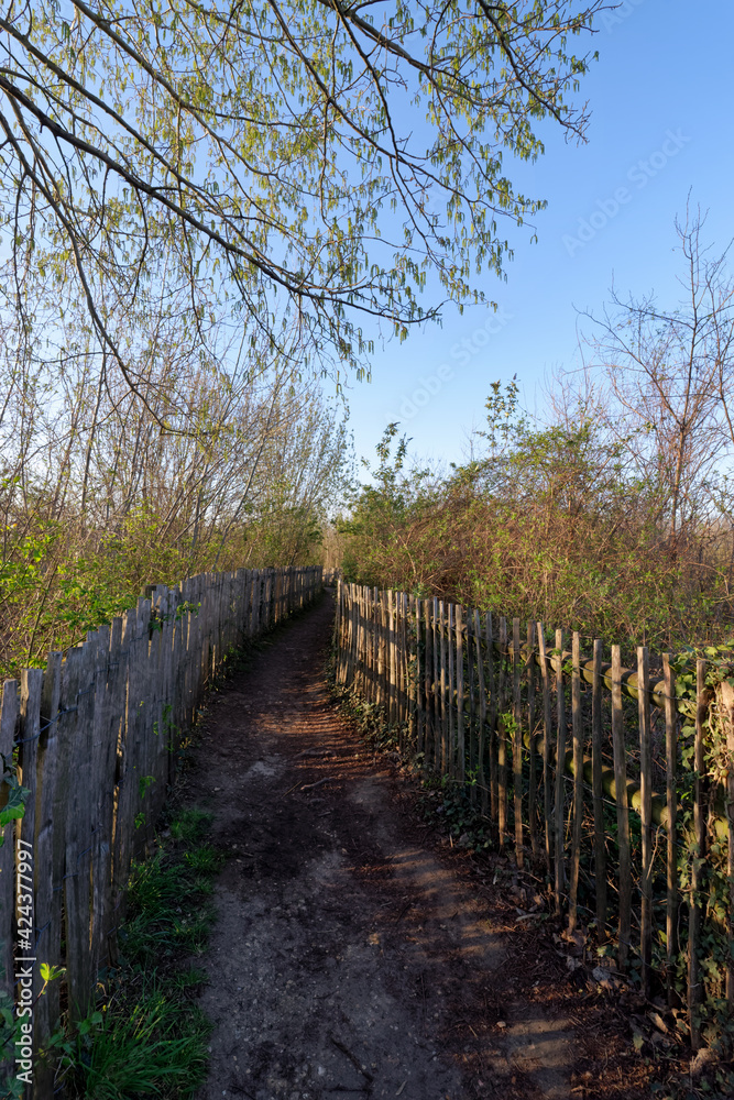 Beaumonts nature park in Montreuil city