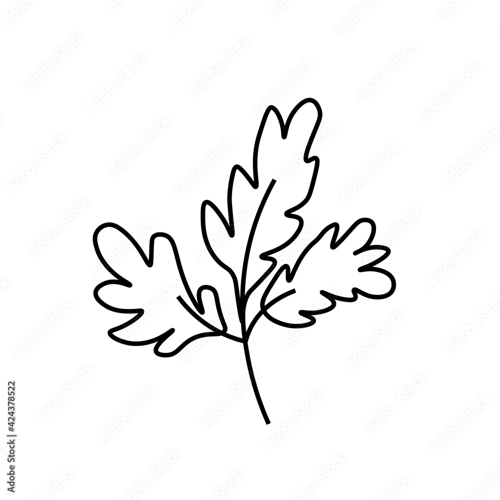 Vector minimalist plant leaf with a black line.One Summer simple hand drawn illustration on white isolated background in doodle style.Design for packaging,websites,social media,posters,postcards.