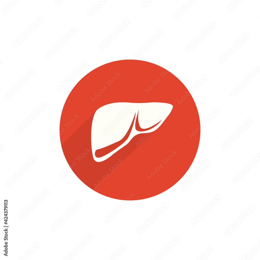 icons of body organs, liver on a white background, vector illustration icons of body organs, liver on a white background, vector illustration