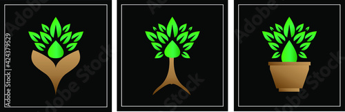 plant in the shape of heart