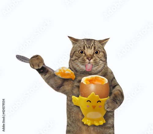 A beige cat eats a soft-boiled egg with a spoon. White background. Isolated. photo