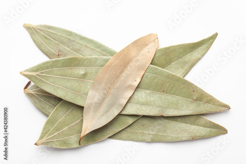 Macro close-up of Organic Indian bay leaf (Cinnamomum tamala) tezpatta on white background. Pile of Indian Aromatic Spice. Top view