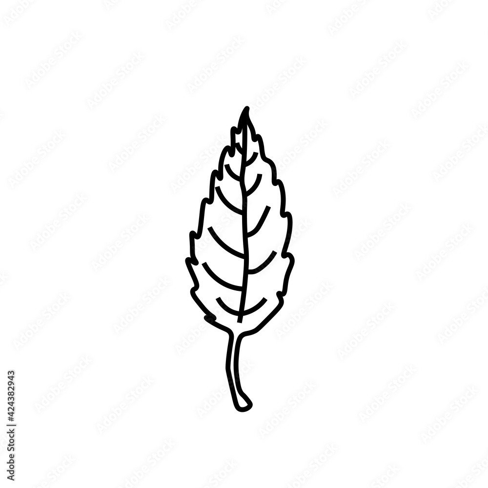 Vector minimalist plant leaf with a black line.One autumn simple hand drawn illustration on white isolated background in doodle style.Design for packaging,social media,posters,postcards. Vector minimalist plant leaf with a black line.One autumn simple hand drawn illustration on white isolated background in doodle style.Design for packaging,social media,posters,postcards.