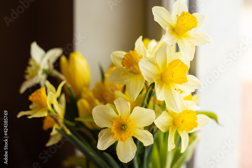daffodils in a vase