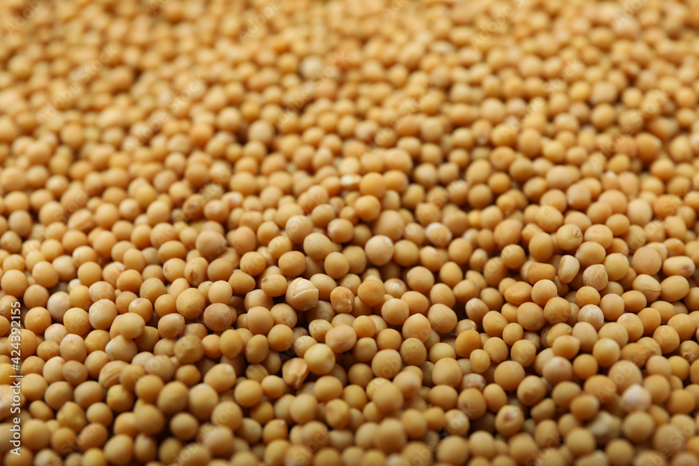 Mustard seeds on whole background, close up Mustard seeds on whole background, close up