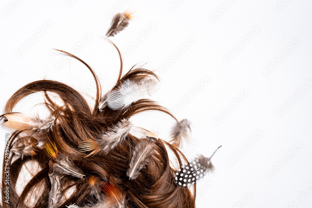 Feathers and hair on a white background close-up Feathers and hair on a white background close-up