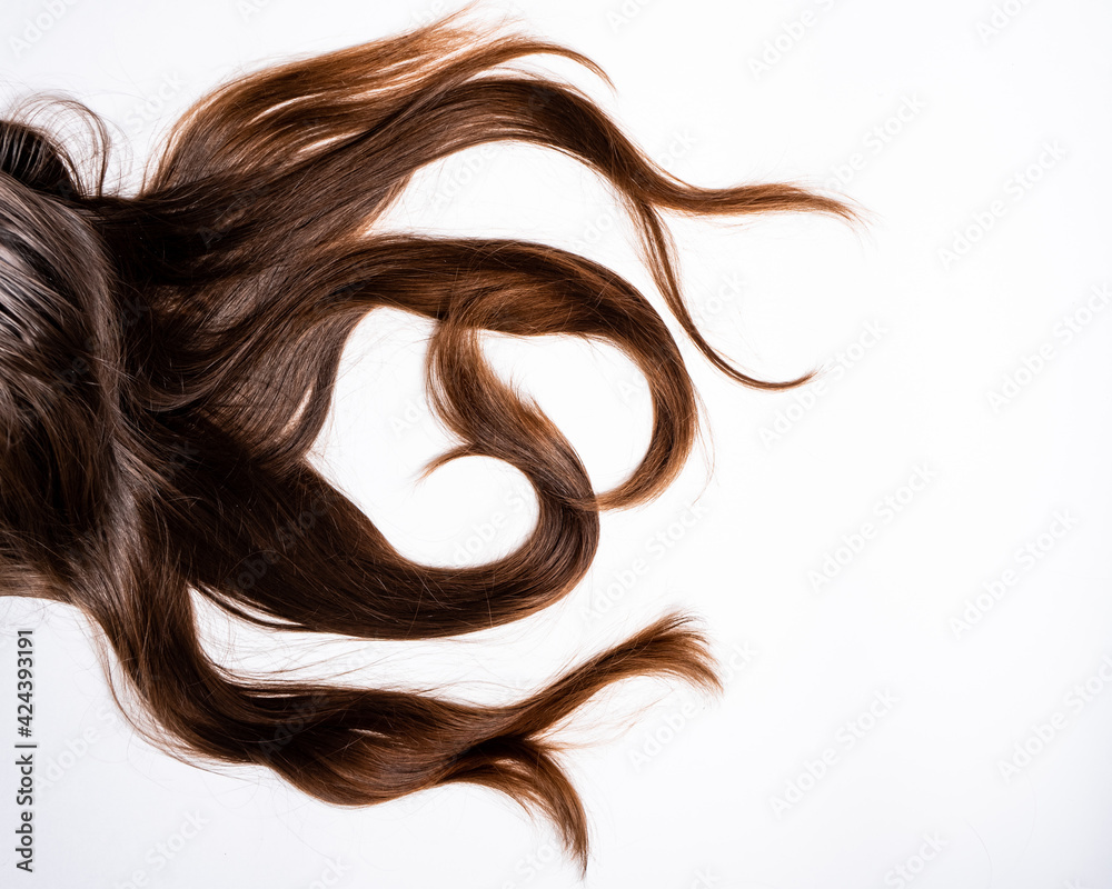 Dark brown hair in unusual shape lie on a white background Dark brown hair in unusual shape lie on a white background