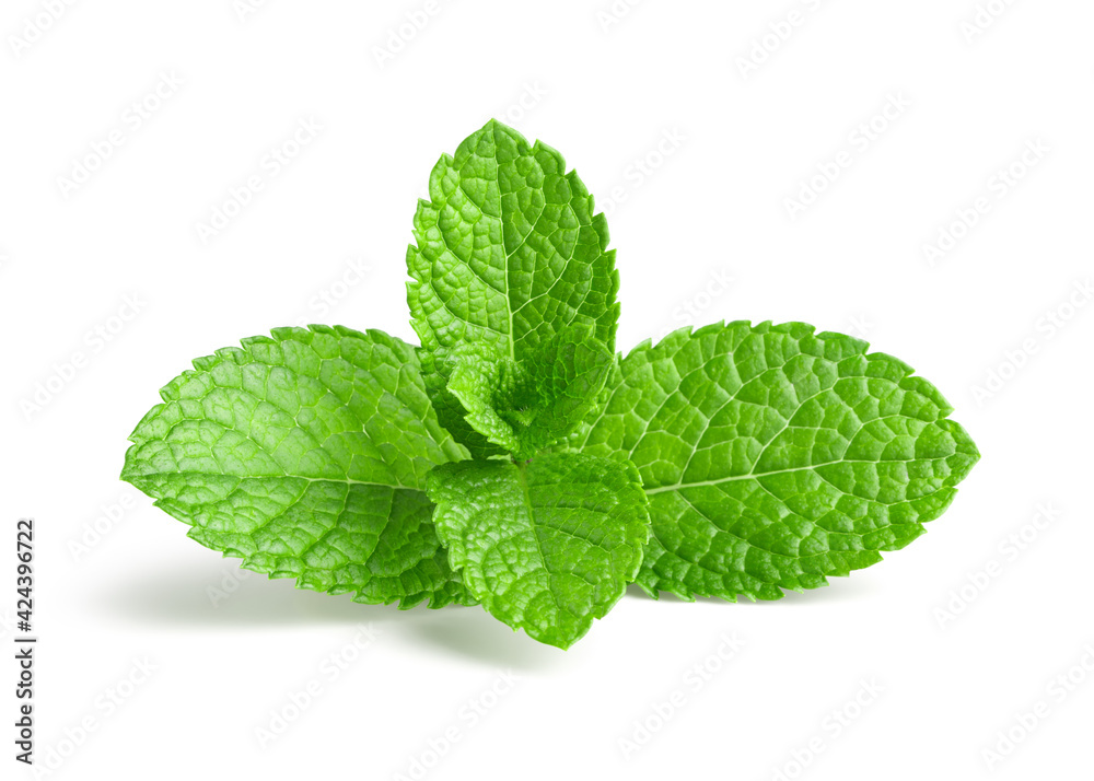 Fresh mint