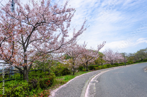 Townscape of Mukaishima island in Onomichi city, Hiroshima prefecture, Chugoku, Japan.