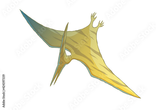Color dinosaur pterodactyloidea flies on a white background