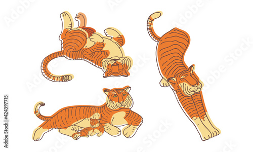 Striped Tiger with Orange-brown Fur as Wild Cat Specie in Different Poses Vector Set