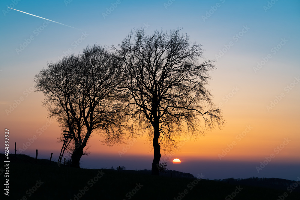 Zwei Bäume Silhouetten Sonnenuntergang Äste Zweige Paar 2 Dämmerung Farbverlauf Himmel bunt Sonne Deutschland Idyll Sauerland Iserlohn Ruhrgebiet Liebe Landschaft romantisch Winter Frühling Natur 