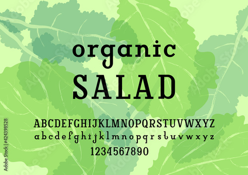 Modern slab serif font, original regular alphabet, trendy uppercase and lowercase letters from A to Z and numbers from 0 to 9, vector illustration 10EPS