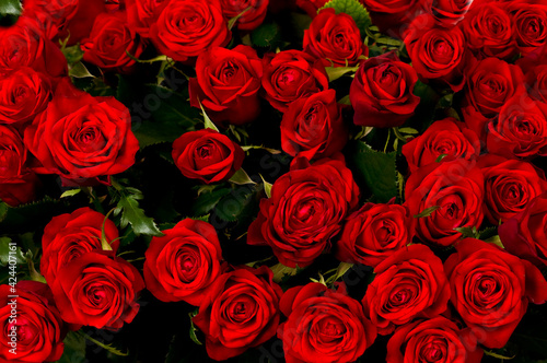 Red roses  a huge bouquet of flowers .