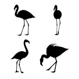 Flamingo Silhouette Set
