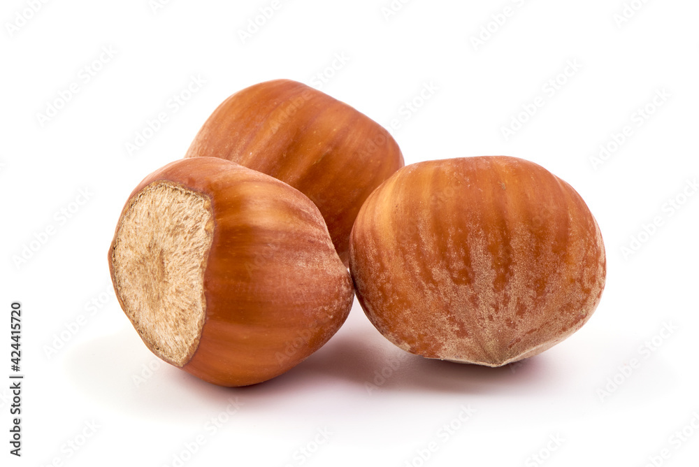 Hazelnuts, close-up isolated on white background Hazelnuts, close-up isolated on white background