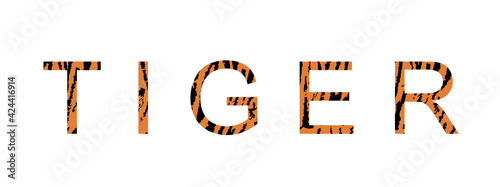 Word "tiger" with fur, texture and tiger skin print vector illustration isolated on white background. tiger word letters sign. Animal symbol decoration. 
