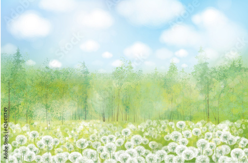 Vector white dandelions meadow.  Spring nature background.