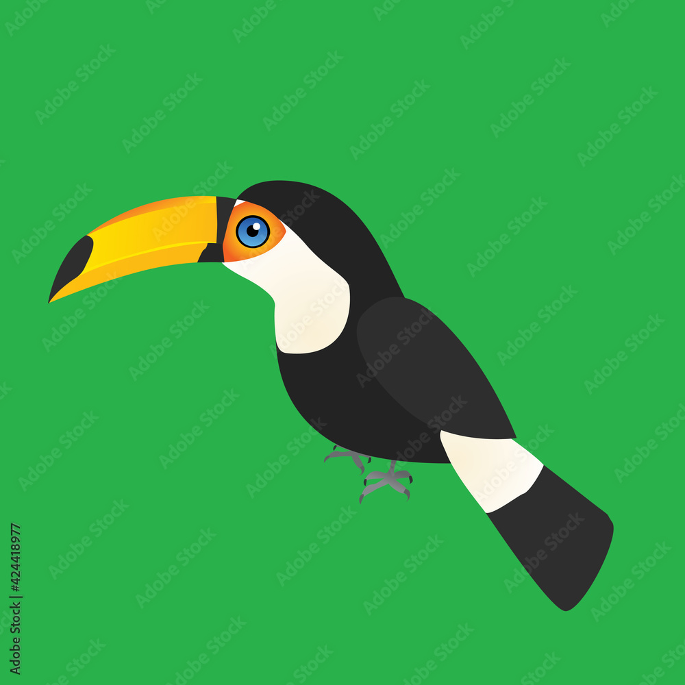 Fototapeta premium An illustration of a toco toucan. The single bird is placed on a green background.