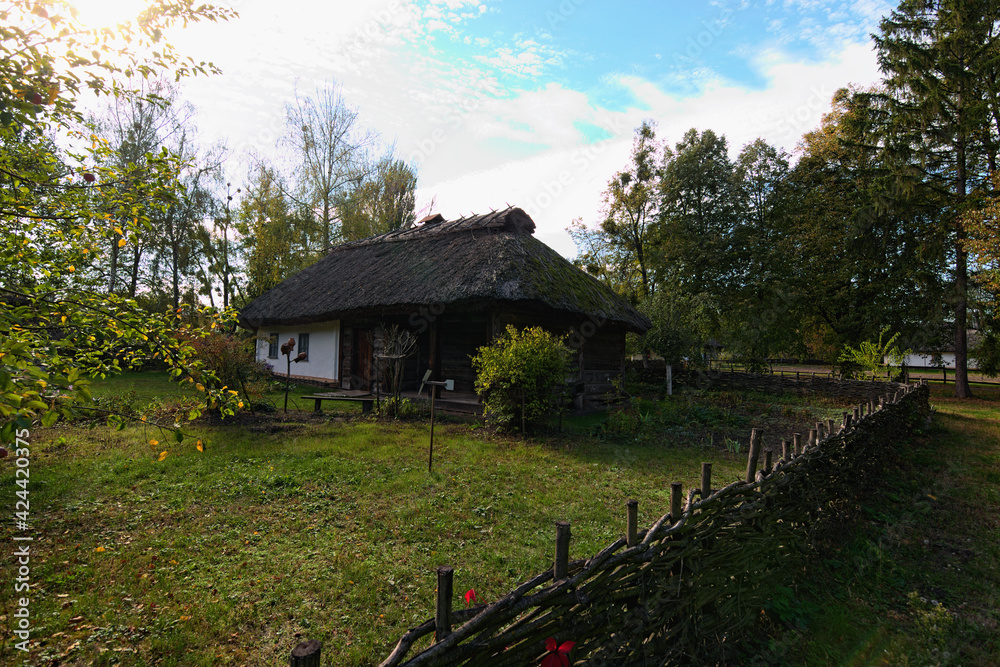 Reconstruction of a clay house with thatched roof and yard with trees. Big trees in the background. Concept of historical buildings in ancient Ukrainian village Reconstruction of a clay house with thatched roof and yard with trees. Big trees in the background. Concept of historical buildings in ancient Ukrainian village