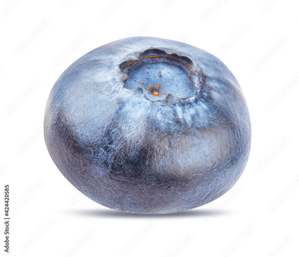 Fototapeta premium Blueberry isolated on white background with clipping path