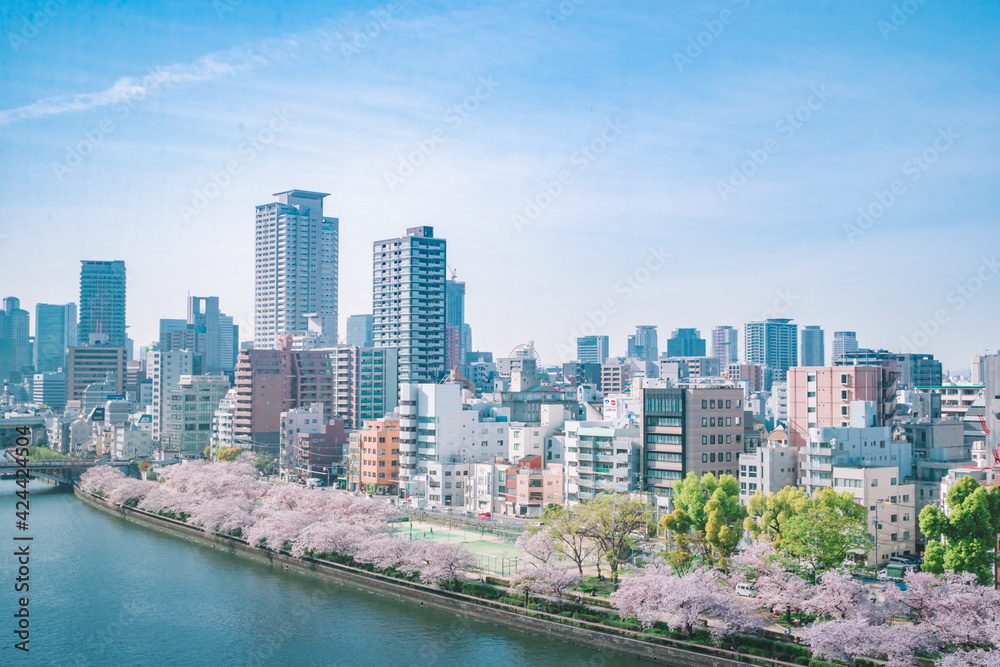 Naklejka premium 春の大阪の街並み（大川の桜）
