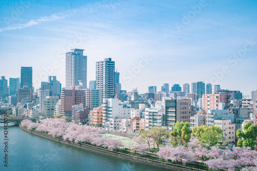春の大阪の街並み（大川の桜） © Nuku