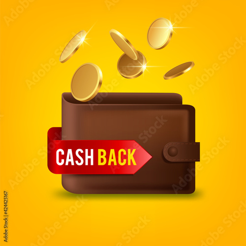 Cash back in wallet. Cashback icon with coins