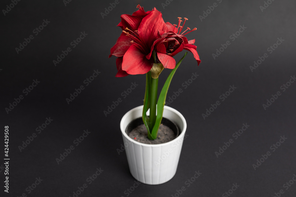 red tulip pot of cloth red tulip pot of cloth