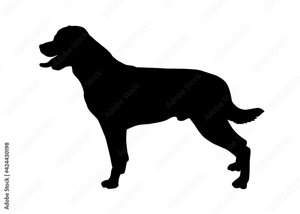 Rottweiler dog silhouette, Vector silhouette of a dog on a white background. Rottweiler dog silhouette, Vector silhouette of a dog on a white background.