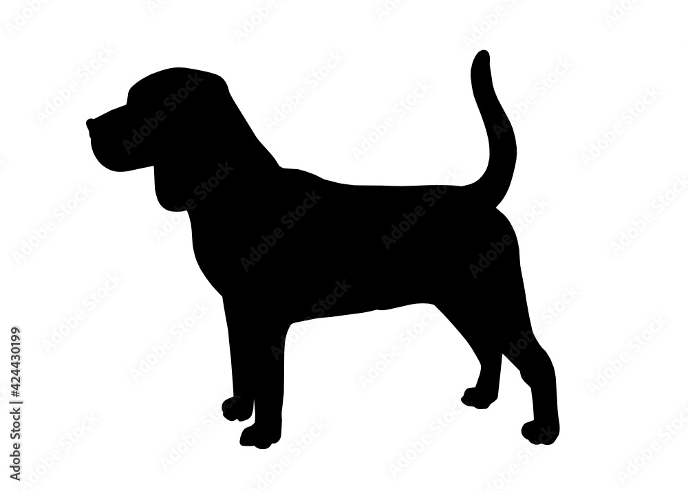 Beagle dog silhouette, Vector silhouette of a dog on a white background.