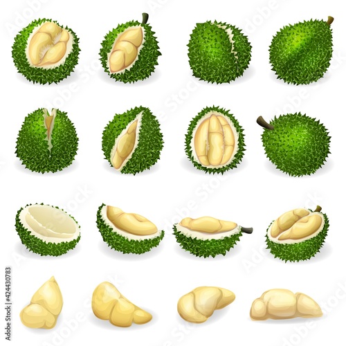 Durian icons set, cartoon style