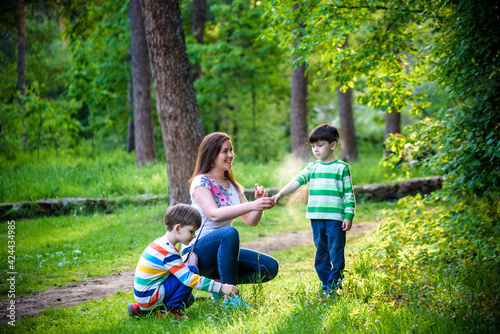 Young woman mother applying insect repellent to her two son before forest hike beautiful summer day or evening. Protecting children from biting insects at summer. Active leisure with kids