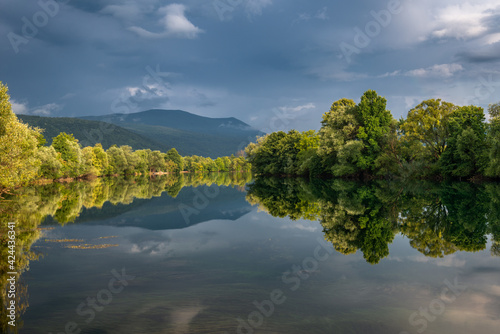 reflection of trees in water © Ammar