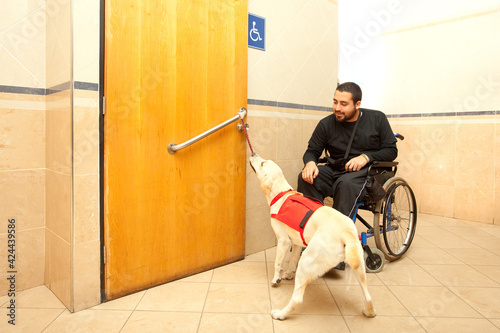 Man in wheelchair with the assistance of a trained dog at the bathroom of a supermarket