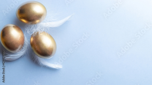 Easter eggs gold. Golden colour egg in basket with white feathers on pastel blue background in Happy Easter decoration. Congratulatory easter design. Flat lay, top view.