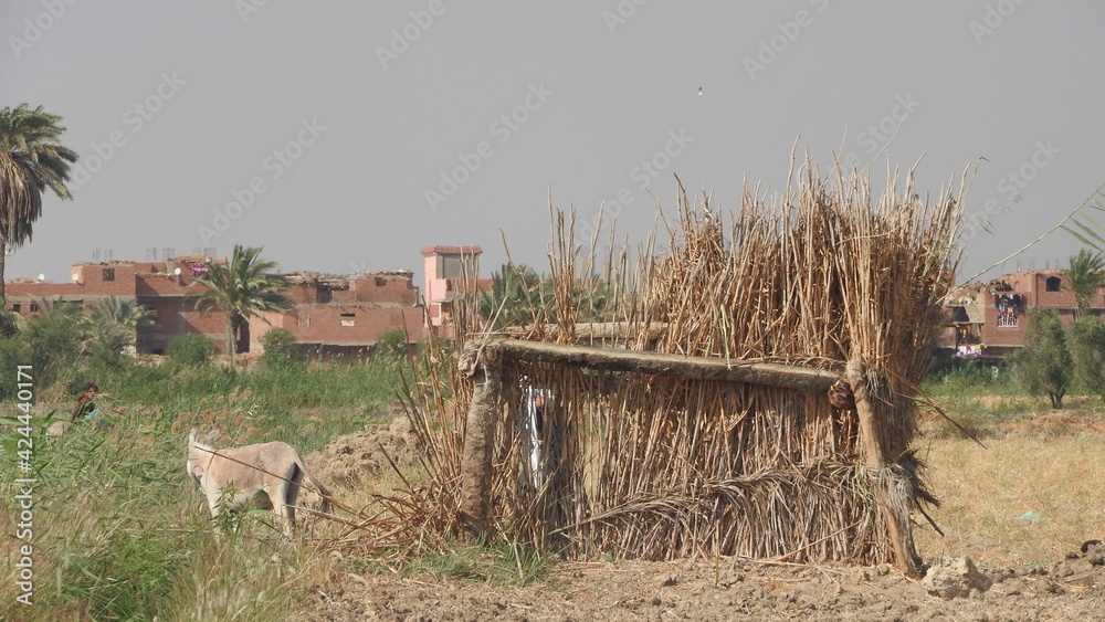 Obraz premium Variable 