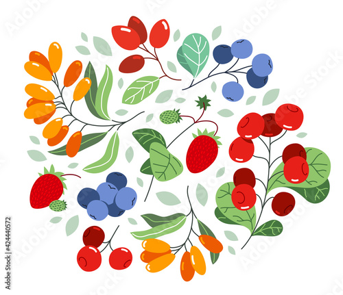 Wild berries fresh and ripe tasty healthy food vector flat style illustration isolated over white, delicious vegetation diet eating, organic food.