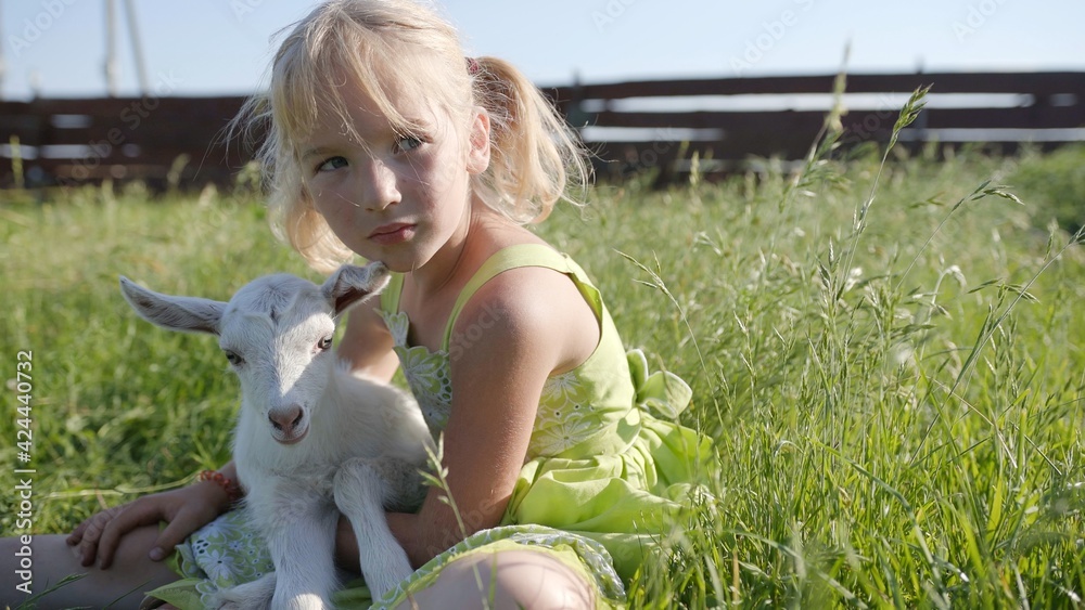 A six-year-old girl in a meadow gently hugs a small white goat. A six-year-old girl in a meadow gently hugs a small white goat.