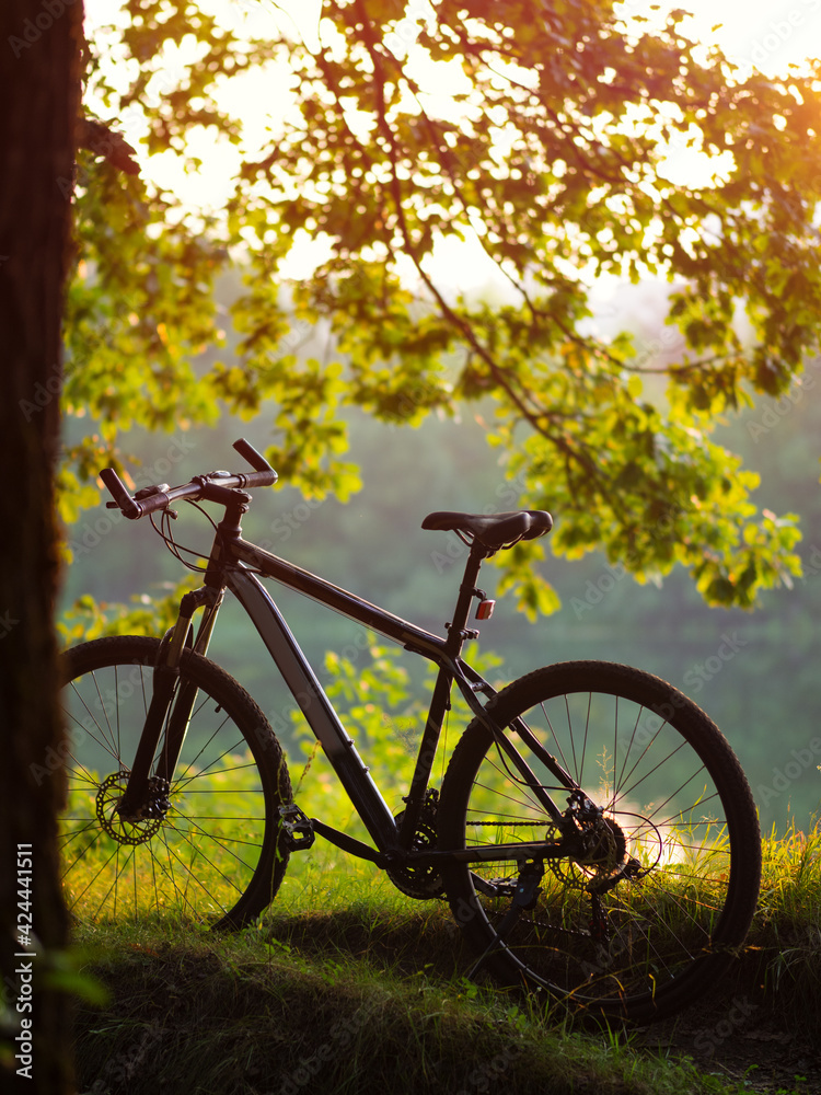 Bicycle on the river Bank at sunset . Active lifestyle concept, green park or forest