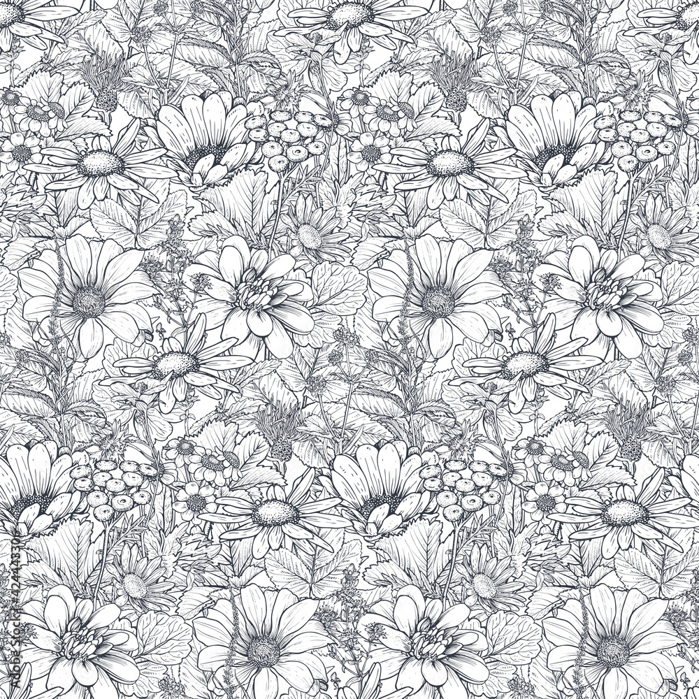 Vector seamless pattern with hand drawn herbs, chamomile flowers and wildflowers Vector seamless pattern with hand drawn herbs, chamomile flowers and wildflowers
