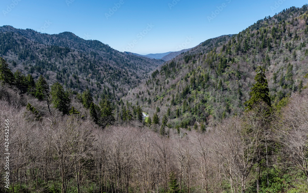 Fototapeta premium smoky mountains