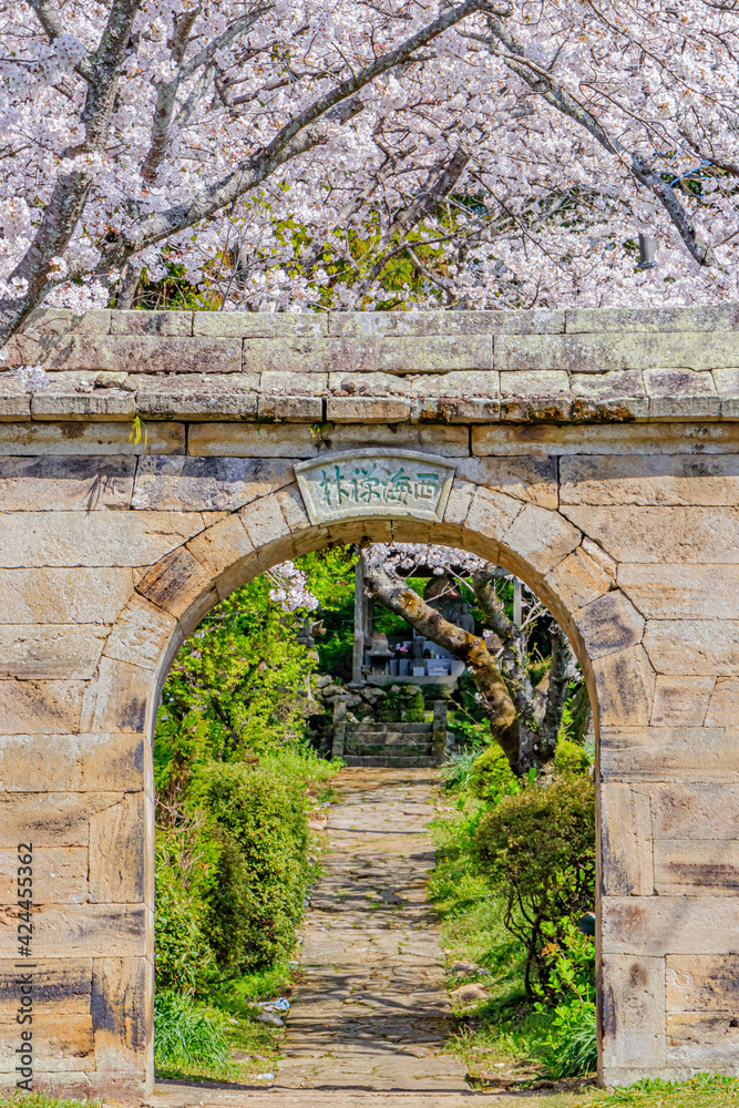 桜とアーチ型石門　円応寺　佐賀県武雄市　Cherry Blossoms and  Arched stone gate Ennou temple Saga-ken Takeo city