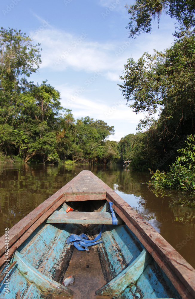 Obraz premium Way of transport in the amazonas south america, little canoe boat is floating over the river, with an piranha fish as food in the front