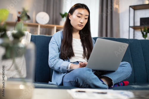 Close up portrait of pretty confident purposeful Asian Korean woman  working remotely from home  sitting ar cozy living room on sofa in lotus position and typing on laptop pc