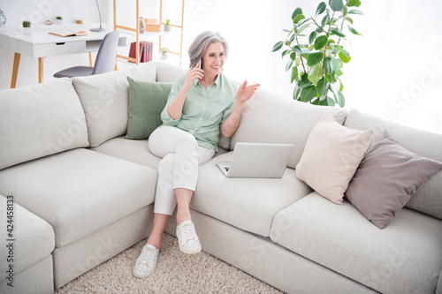 Full size portrait of positive charming person sit on sofa speak phone hand explain have good mood weekend indoors