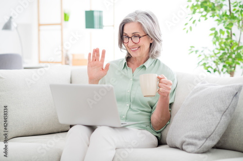 Portrait of positive friendly woman sit on sofa hold tea cup palm wave look laptop speak weekend indoors © deagreez