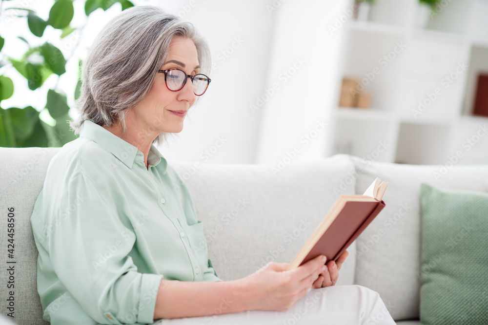 Portrait of positive woman sit on sofa reading interesting book enjoy free time weekend home indoors Portrait of positive woman sit on sofa reading interesting book enjoy free time weekend home indoors
